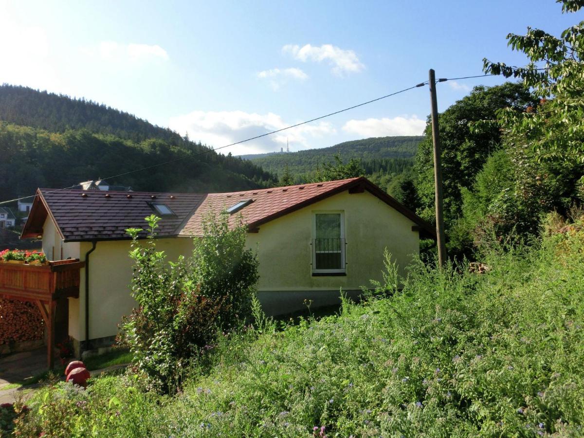 Cottage Near A Ski Resort Winterstein エクステリア 写真
